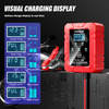 12 volt smart battery charger